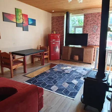 Cozy Kalamaja *